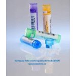 RHUS TOXICODENDRON POR 15CH GRA 4G – Zboží Mobilmania