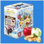 Ovocňák Mošt jablko a zázvor 3 l – Sleviste.cz