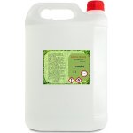 Ecoliquid Antiviral dezinfekce na ruce tymián 5 l – Zboží Dáma