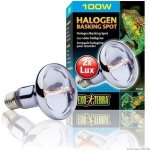 Hagen ExoTerra Sun Glo Halogen Neodymium 100 W – Zboží Dáma