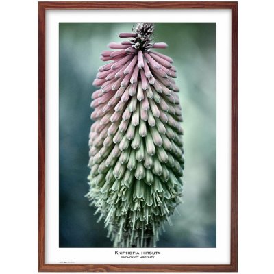 TRADAG Natura 50 x 70 hnědý – Zboží Živě
