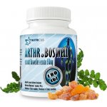 Nutricius Boswellia Serrata Extrakt 180 tablet – Hledejceny.cz