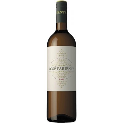 José Pariente Verdejo suché bílé 2023 13% 0,75 l (holá láhev) – Hledejceny.cz