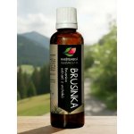 Rabštejnská apatyka Brusinka tinktura z pupenů 50 ml – Hledejceny.cz