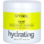 Vitalfarco Vitael Dry Hydratační maska s keratinem a arganovým olejem 1000 ml – Zboží Dáma