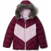 Dětská sportovní bunda Columbia G Arctic Blast Jacket 1908241616 fialový