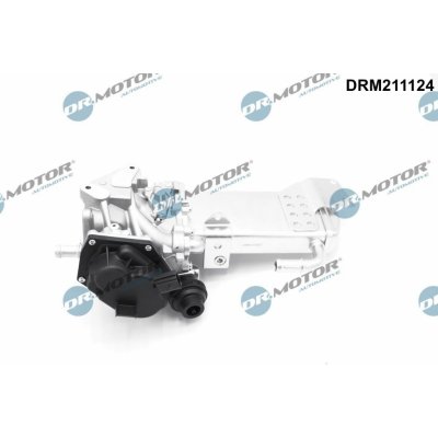 AGR-Ventil Dr.Motor Automotive DRM211124 – Hledejceny.cz