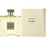 Chanel Gabrielle Chanel parfémovaná voda dámská 100 ml – Hledejceny.cz