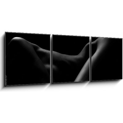 Obraz 3D třídílný - 150 x 50 cm - Sexy body nude woman. Naked sensual beautiful girl. Artistic black and white photo. Sexy tělo nahá žena. Nahá smyslná krásná dívka. Umě – Zboží Mobilmania