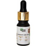 happy seeds Lososový CBD olej pro zvířata 10% 30 ml – Hledejceny.cz
