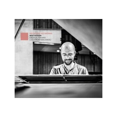 Luca Montebugnoli - Erard / Eroica CD – Hledejceny.cz