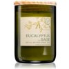 Svíčka Paddywax Eco Green Eucalyptus & Sage 226 g