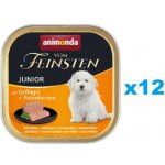 Animonda Vom Feinsten Junior Dog drůbeží a krůtí srdce 12 x 150 g – Hledejceny.cz