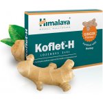 Himalaya Koflet H Ginger 12 pastilek – Hledejceny.cz
