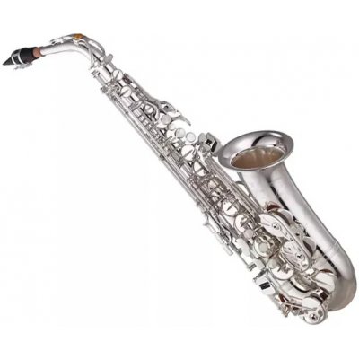 YAS 875 EXS 05 – Zboží Dáma