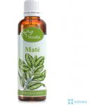 Serafin tinktura z bylin Maté 50 ml – Hledejceny.cz
