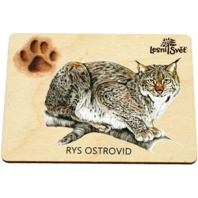 Lesní svět Magnet velký Rys – Zboží Mobilmania