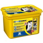Horslyx Garlic 5 kg – Hledejceny.cz