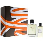 Hermes Terre D Hermes EDT pro muže 100 ml + sprchový gel 80 ml dárková sada – Hledejceny.cz