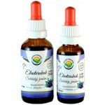 Salvia Paradise Eleuterokok tinktura 50 ml – Hledejceny.cz