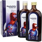 Hyalutidin Mobility HCC 2 x 500 ml – HobbyKompas.cz