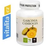 Natural Medicaments Garcinia Cambogia 90 kapslí – Sleviste.cz