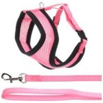 FLAMINGO Postroj s vodítkem na kočku Harms Kitten 28 x 32 - 41 cm – Zboží Dáma