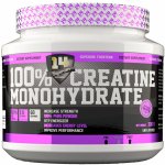 Superior 14 100% Creatine Monohydrate 300 g – Zboží Mobilmania