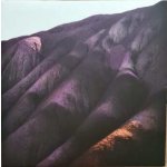 Whispering Sons - Several Others LP – Hledejceny.cz