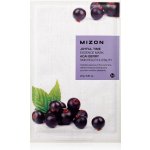 Mizon plátýnková 3D maska s Acai Berry pro zdravou pleť a vitalitu Joyful Time Essence Mask Acai Berry 23 g – Zboží Dáma