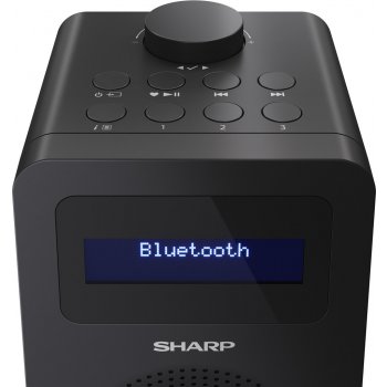 Sharp DR-430BK FM DAB