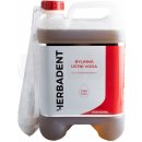 Herbadent Professional CHX ústní voda 5 000 ml