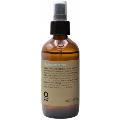 Oway DailyAct Fitoproteinový Sprej na Vlasy pro Snadné Rozčesávání 160 ml – Hledejceny.cz