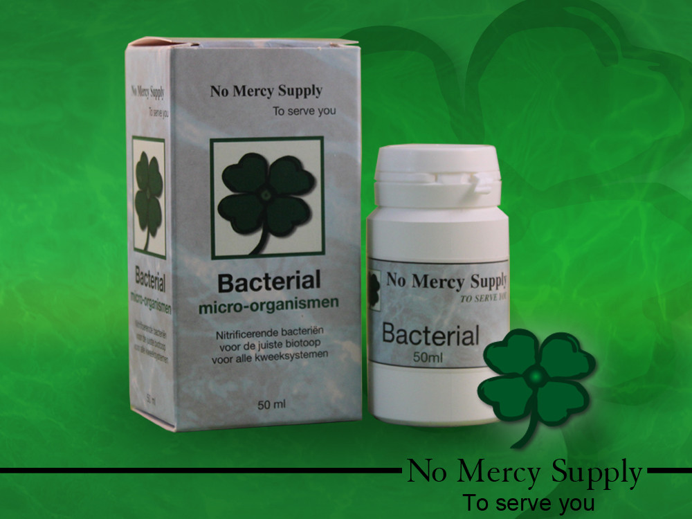 No Mercy Bacterial 50 ml