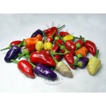 Chinese Multi-Color – Sleviste.cz