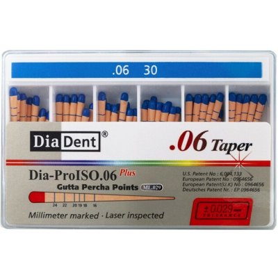 DiaDent Gutaperčové Čepy Dia-Pro ML.029 06Taper ISO30 60 ks – Hledejceny.cz