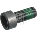 Šroub setrvačníku FEBI BILSTEIN 179619