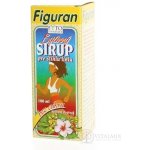 Fyto figurant bylinný sirup pro štíhlou linii 100 ml – Hledejceny.cz