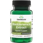 Swanson Bladderwrack Chaluha bublinatá 60 kapslí – Hledejceny.cz