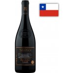 Tarapacá Carmenere Etiqueta Negra Gran Reserva 2021 14% 0,75 l (holá láhev) – Hledejceny.cz