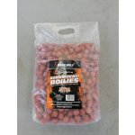 Magic Wolf ZAKRMOVACÍ BOILIES 5kg 24mm KRAB – Zbozi.Blesk.cz