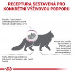 Royal Canin Veterinary Diet Cat Renal Feline 2 kg – Hledejceny.cz