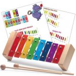 Stagg META-K8 metalofon 8 barevných kamenů – Hledejceny.cz