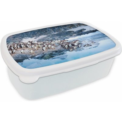 MuchoWow® Box na oběd BČervenázeit 11x17x6cm Skupina tučňáků se vrhá do vody ze skály Dětský box na svačinu – Zboží Mobilmania