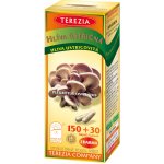 Terezia Hlíva ústřičná 180 kapslí – Hledejceny.cz