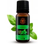 Day Spa BIO 100% Esenciální olej Bazalka 10 ml – Hledejceny.cz