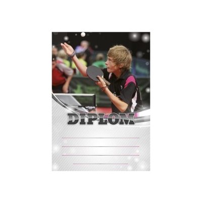 Diplom 6627 – Hledejceny.cz