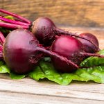 Řepa salátová červená kulatá - Beta vulgaris - prodej semen - 140 ks – Zboží Mobilmania