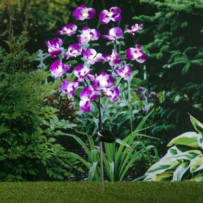 Haushalt international Solární zápich Orchidej 838923 – Hledejceny.cz