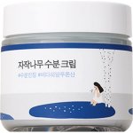 Round Lab Birch Juice Moisturizing Cream s březovou šťávou 80 ml – Zboží Dáma